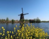 Olanda 2019: Mulini E Tulipani  foto 2