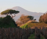 Capodanno 2020 tra Toscana e Campania