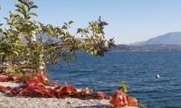 Lago Maggiore a Novembre