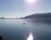 Lago Maggiore A Novembre  foto 4