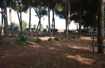 Camping Village Riva dei Tarquini