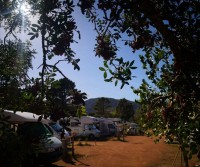 Area camper Foxi Manna