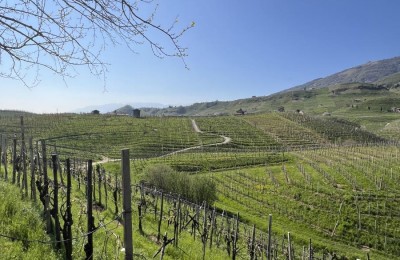 Area parcheggio La Casa Vecchia