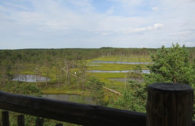 Camping Hiie talu - Hiie talu puhkeküla