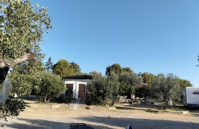Agricarrozza