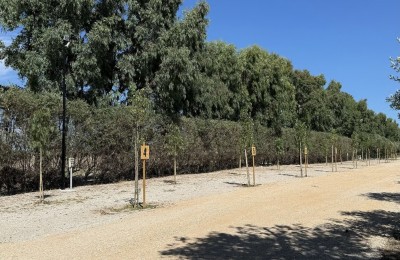 Aderci Park