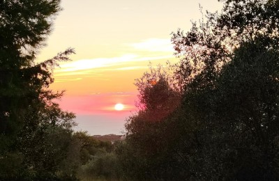 Agriturismo Le Rondini di San Bartolo