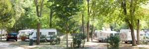 Primo posto per il  Flaminio Village Camping Bungalow Park a Roma (RM)